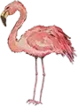 Flamingo 88